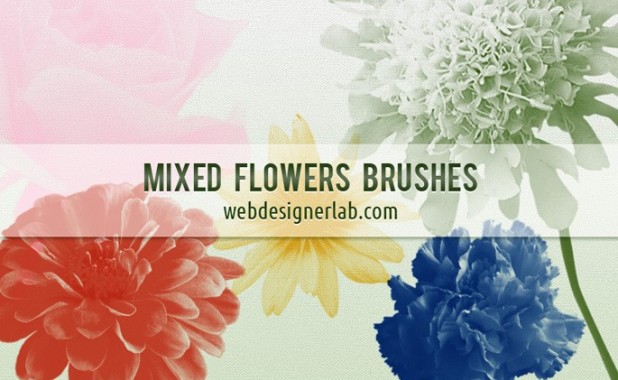 Mixed Flowers Brushes